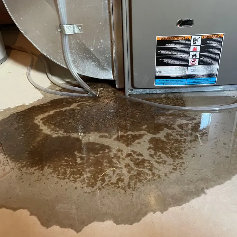Pipe Burst and Leak Restoration in Nashotah, WI